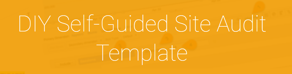 Annie Cushing – DIY Self-Guided Site Audit Template