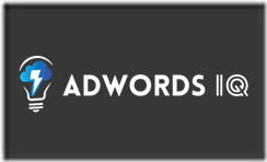 Caitlin Schlichting – AdWords IQ Academy