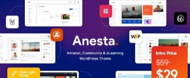 Anesta v1.0.1 - Intranet, Extranet, Community and BuddyPress WordPress Theme