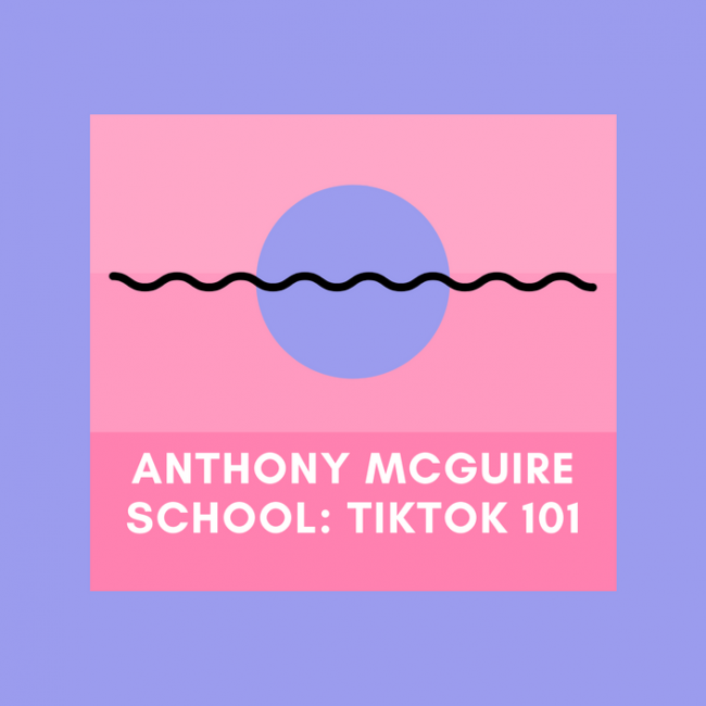 Anthony McGuire – TikTok Marketing & Advertising 101