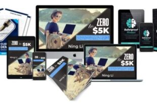 Ning Li – Zero To $5K Copywriting Course